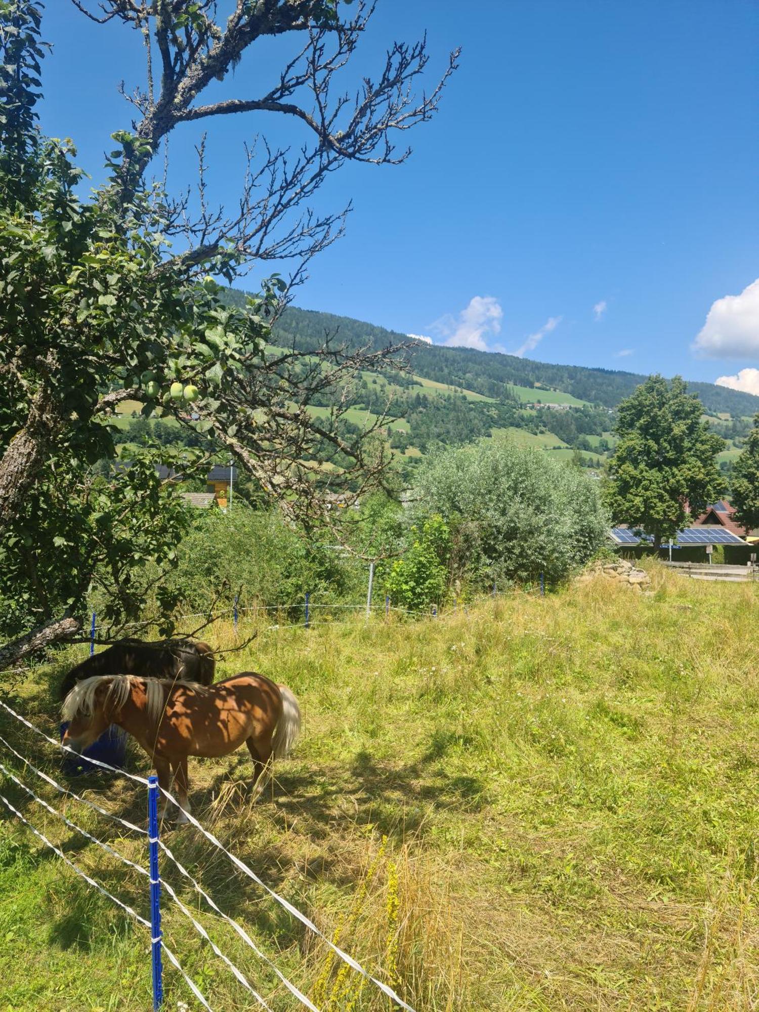 Kreischberg Superior With Sauna Sankt Lorenzen ob Murau Kültér fotó